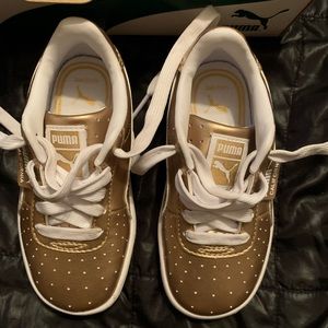 California Metallic Puma